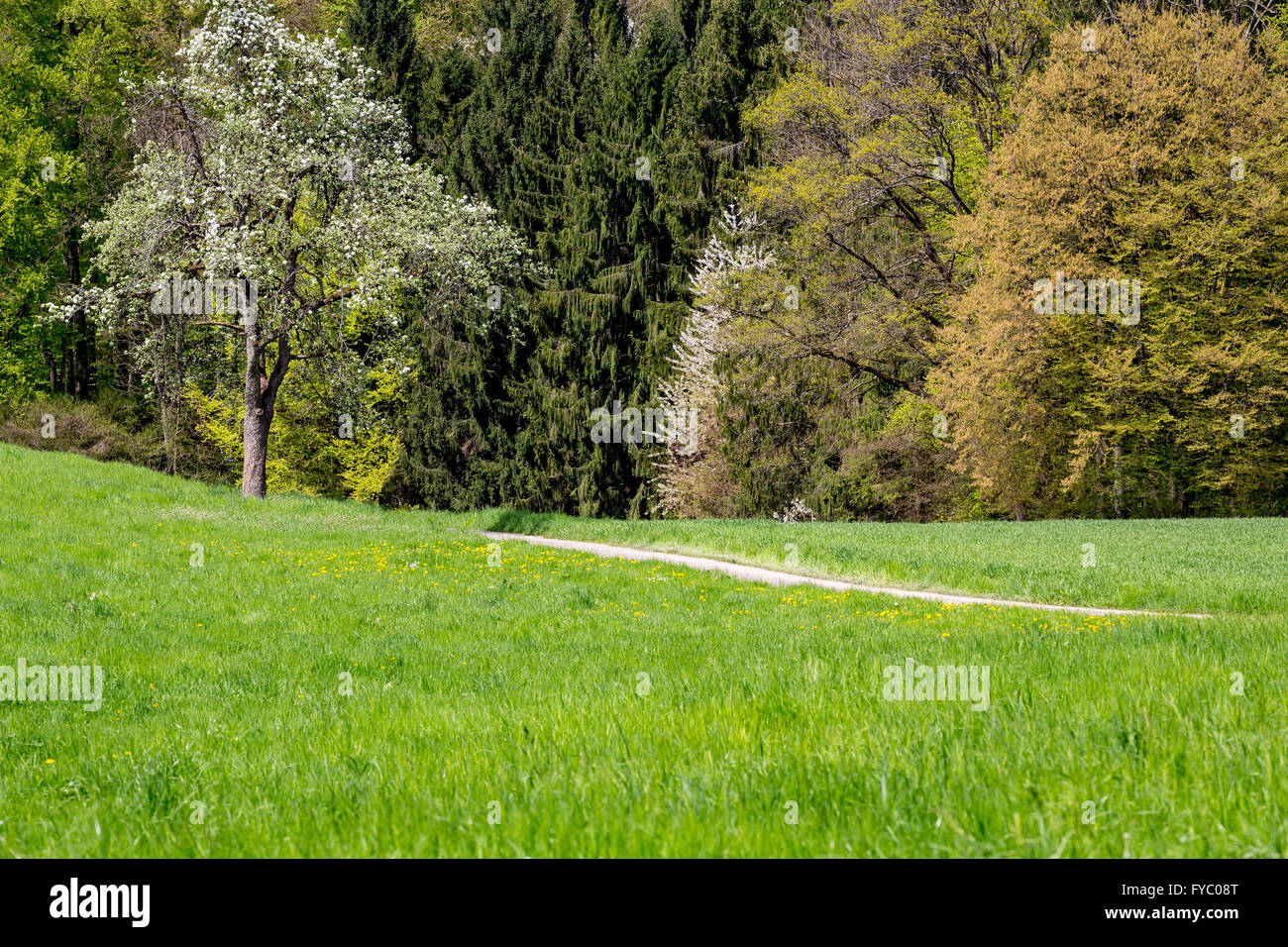 Rural conservation hi-res stock photography and images - Alamy