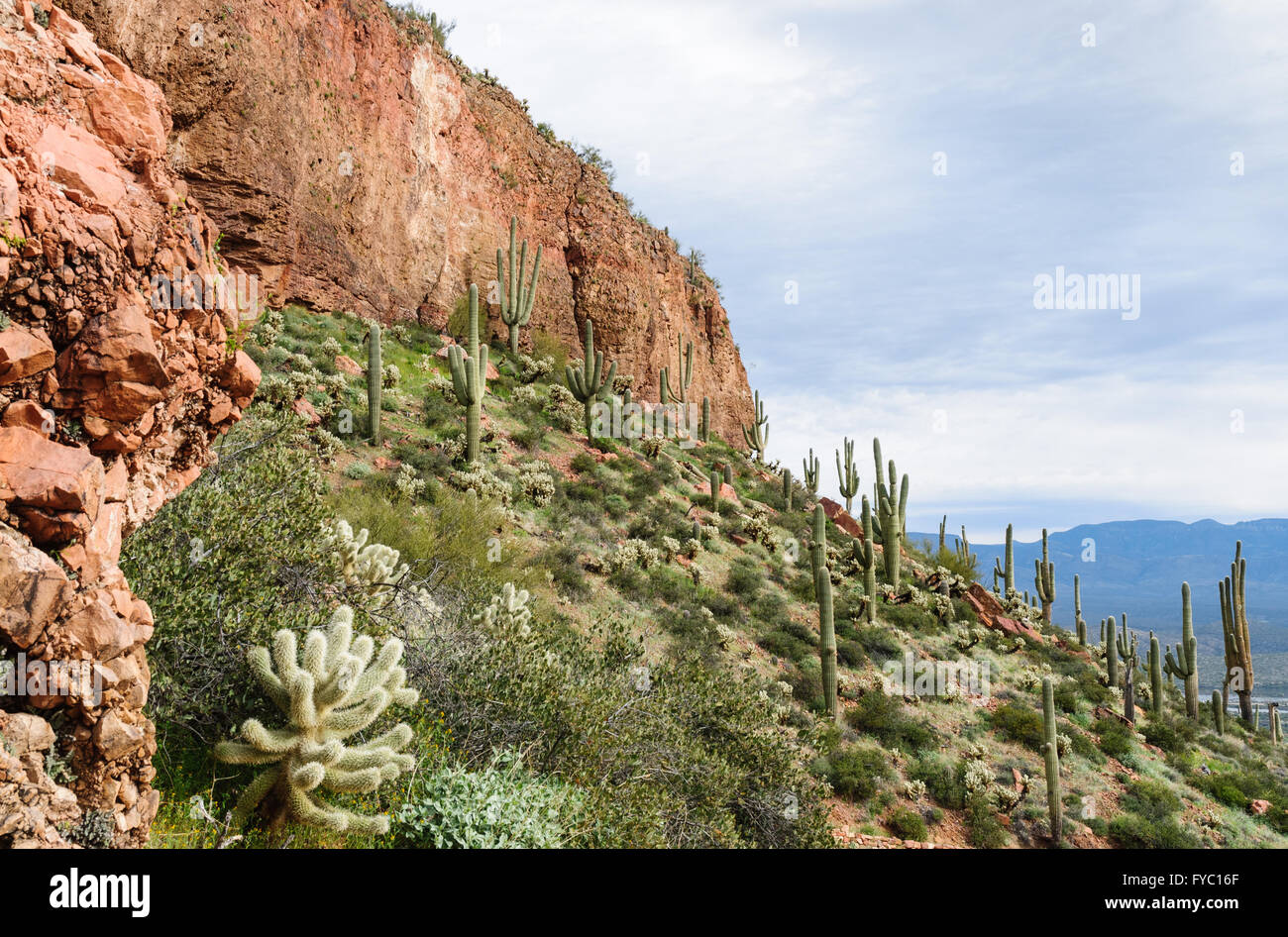 Tonto National Monument Stock Photo