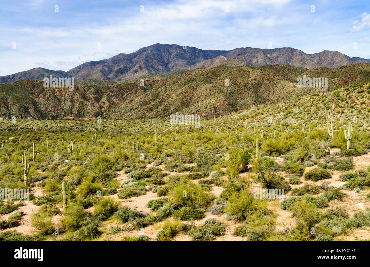 Apache trail hires stock photography and images Alamy