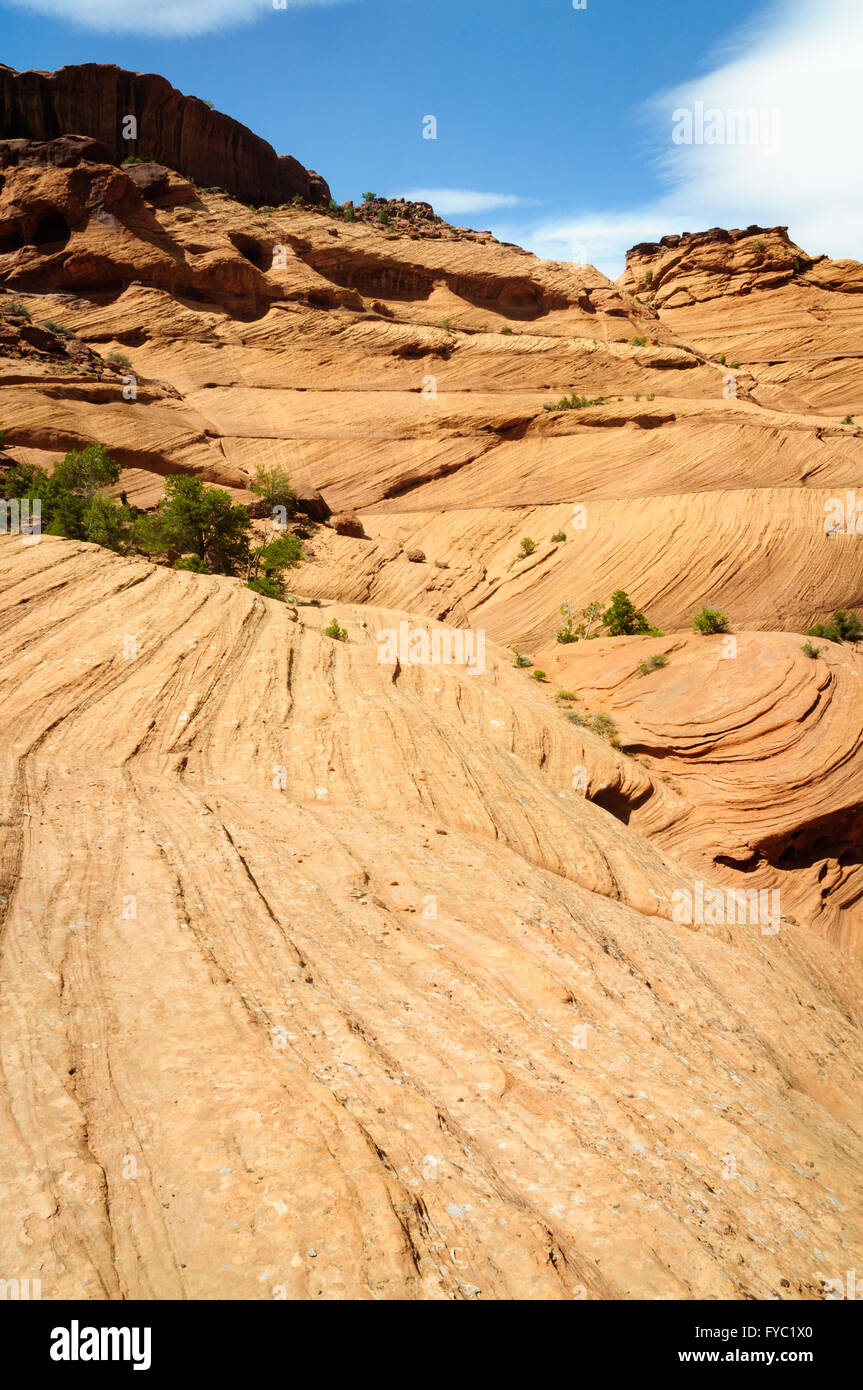 Canyon de Chelly National Monument Stock Photo