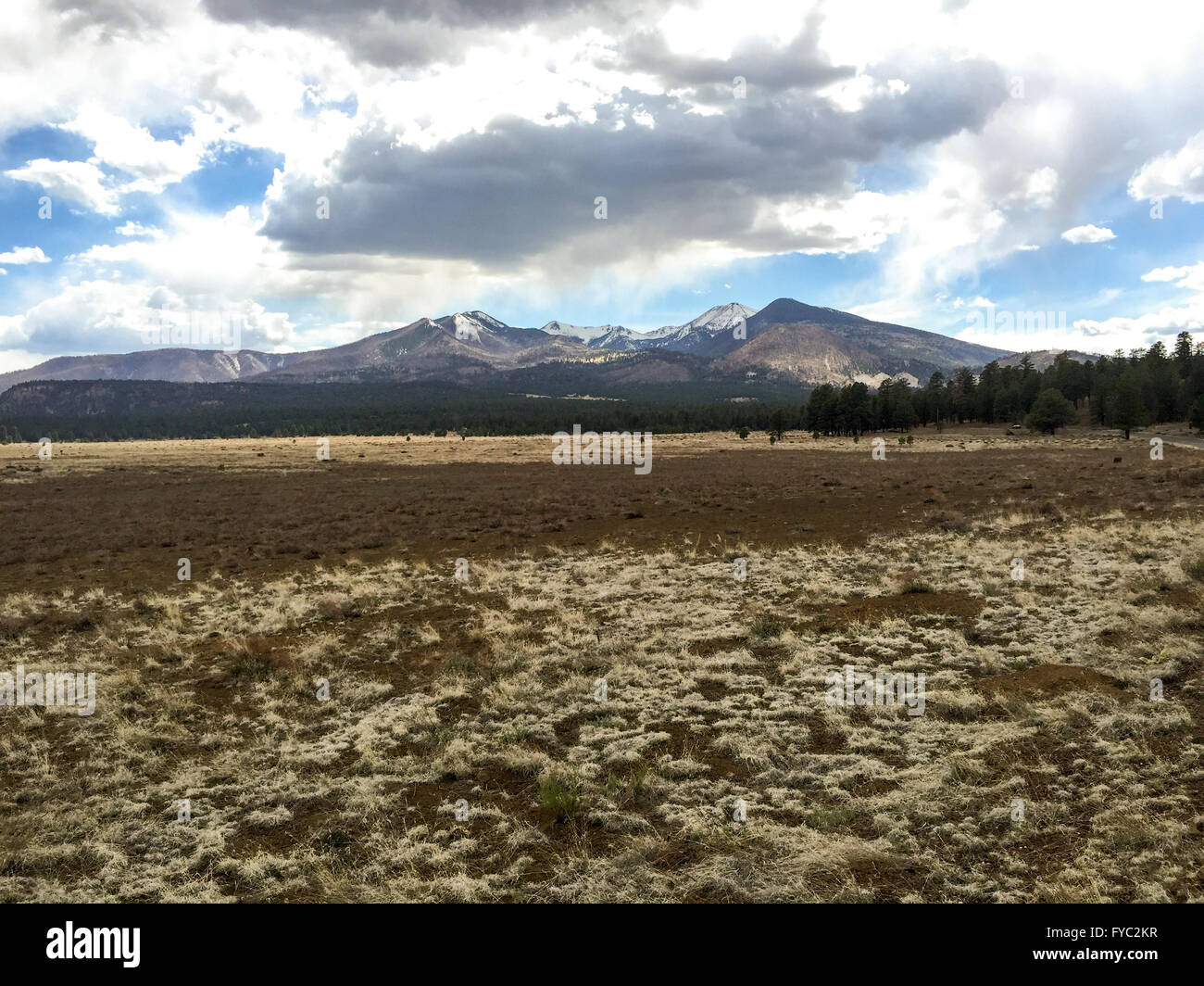 The San Francisco Peaks in Coconino National Forest Stock Photo