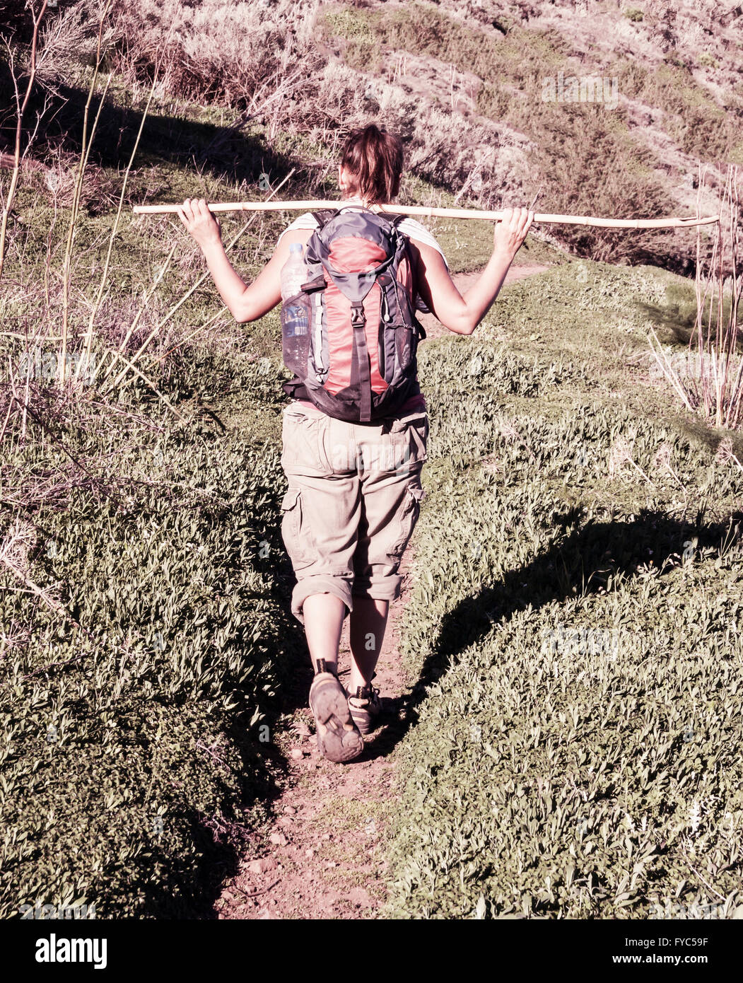 Female walker rear view hi-res stock photography and images - Alamy