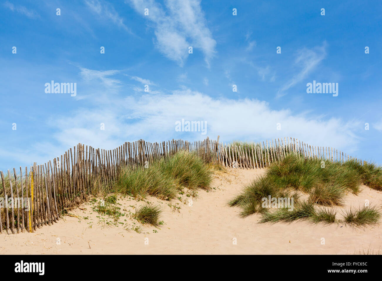 Sand dunes with grass, wooden fence and a clear summer sky. Stock Photo