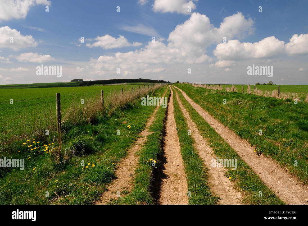 Route of old Roman road across the Wiltshire downs (now a public byway
