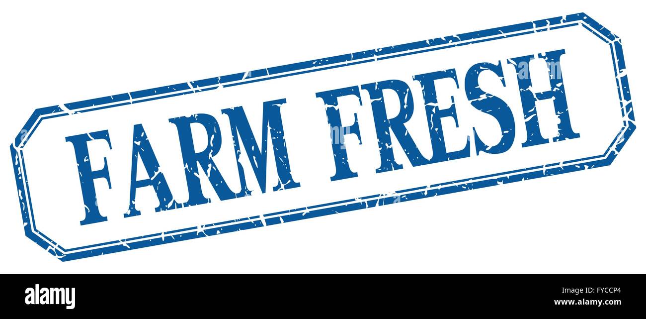 farm fresh square blue grunge vintage isolated label Stock Vector Image ...