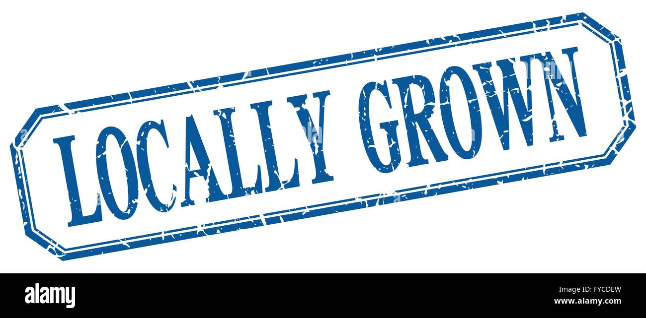 locally grown square blue grunge vintage isolated label Stock Vector ...