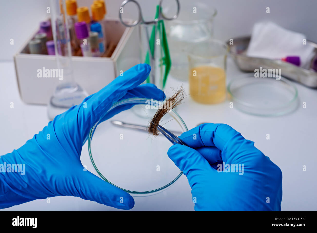 make up specimens hires stock photography and images Alamy