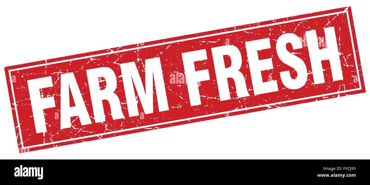 farm fresh red square grunge stamp on white Stock Vector Image & Art ...