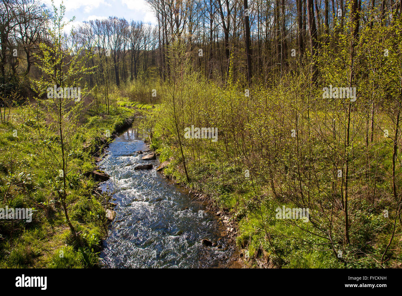 Europe, Germany, North Rhine-Westphalia, Dortmund, the recultivated river Emscher at the nature reserve Bolmke south of the Sign Stock Photo