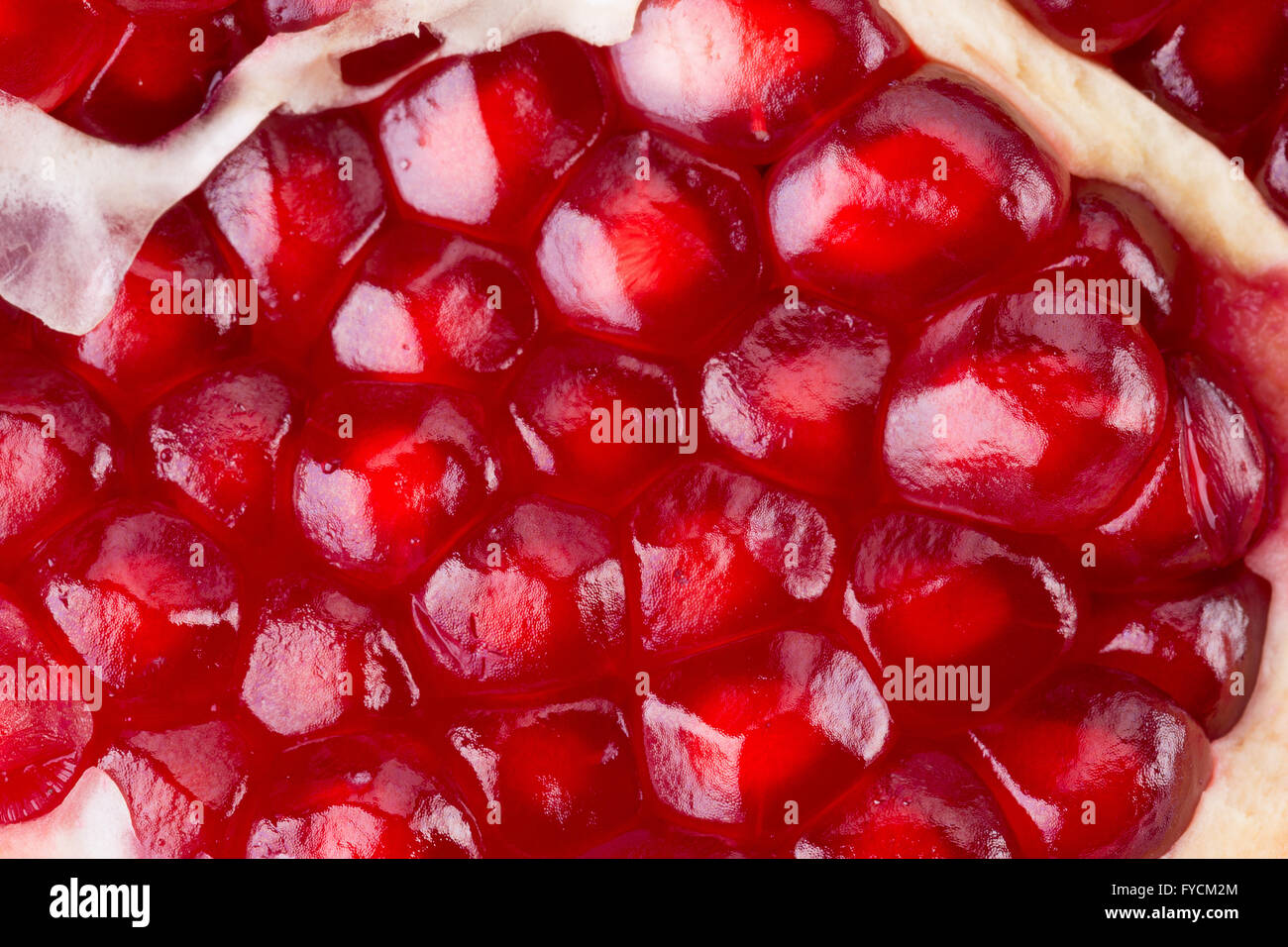 close up of pomegranate. Stock Photo