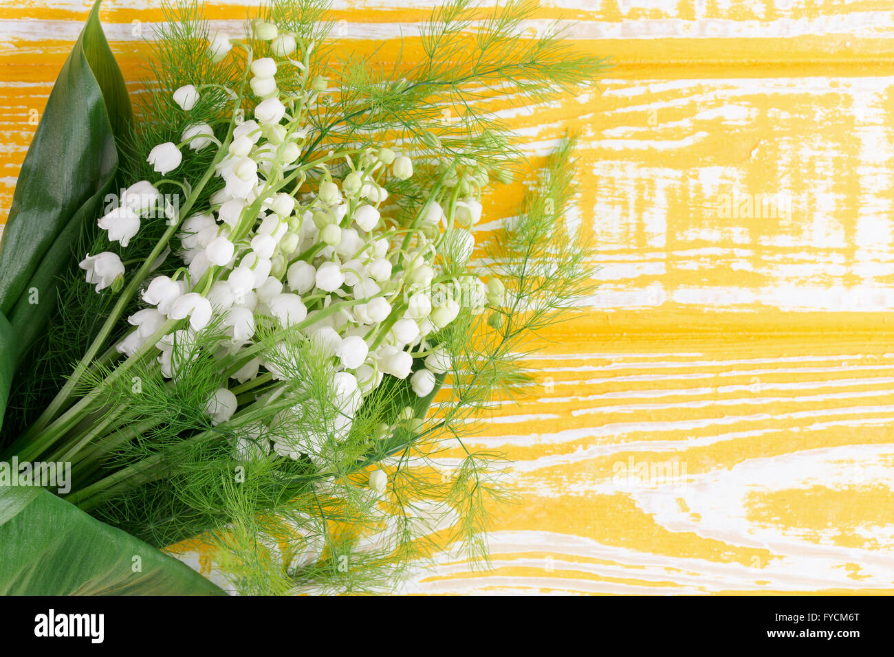 Lilies of the valley hires stock photography and images Alamy