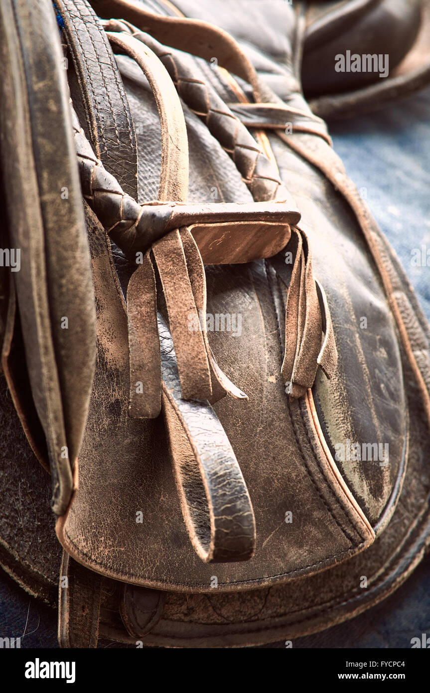 Horse harness Stock Photo - Alamy