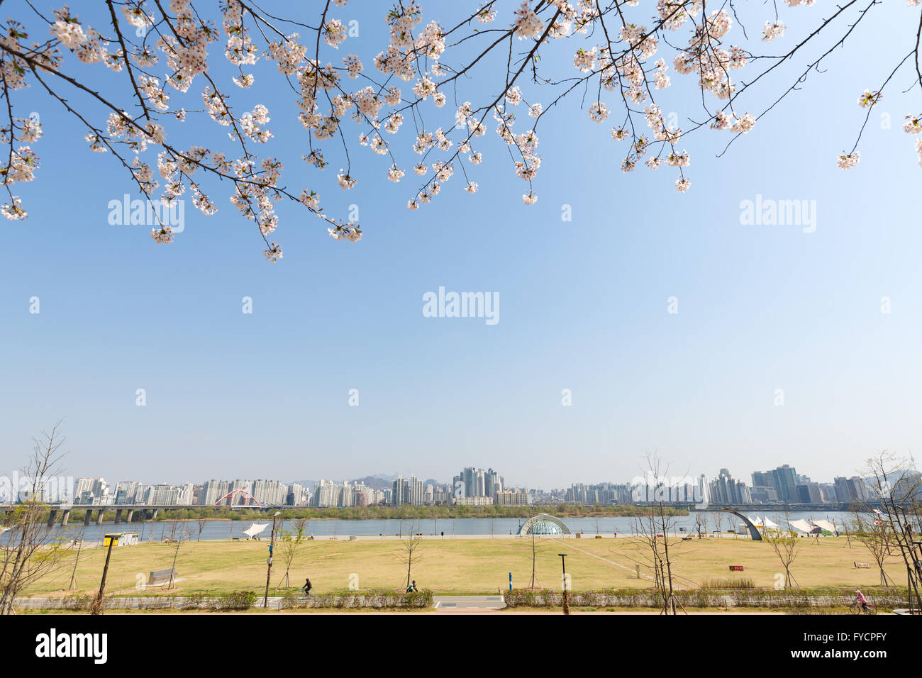View of Hangang Park with cherry blosoom,Seoul Stock Photo