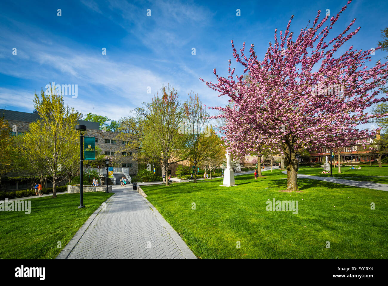 Spring color and walkway at Loyola University Maryland, in Baltimore
