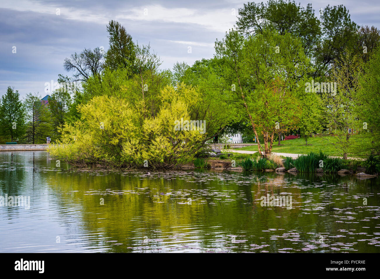 Spring color at the lake at Patterson Park, in Baltimore, Maryland. Stock Photo