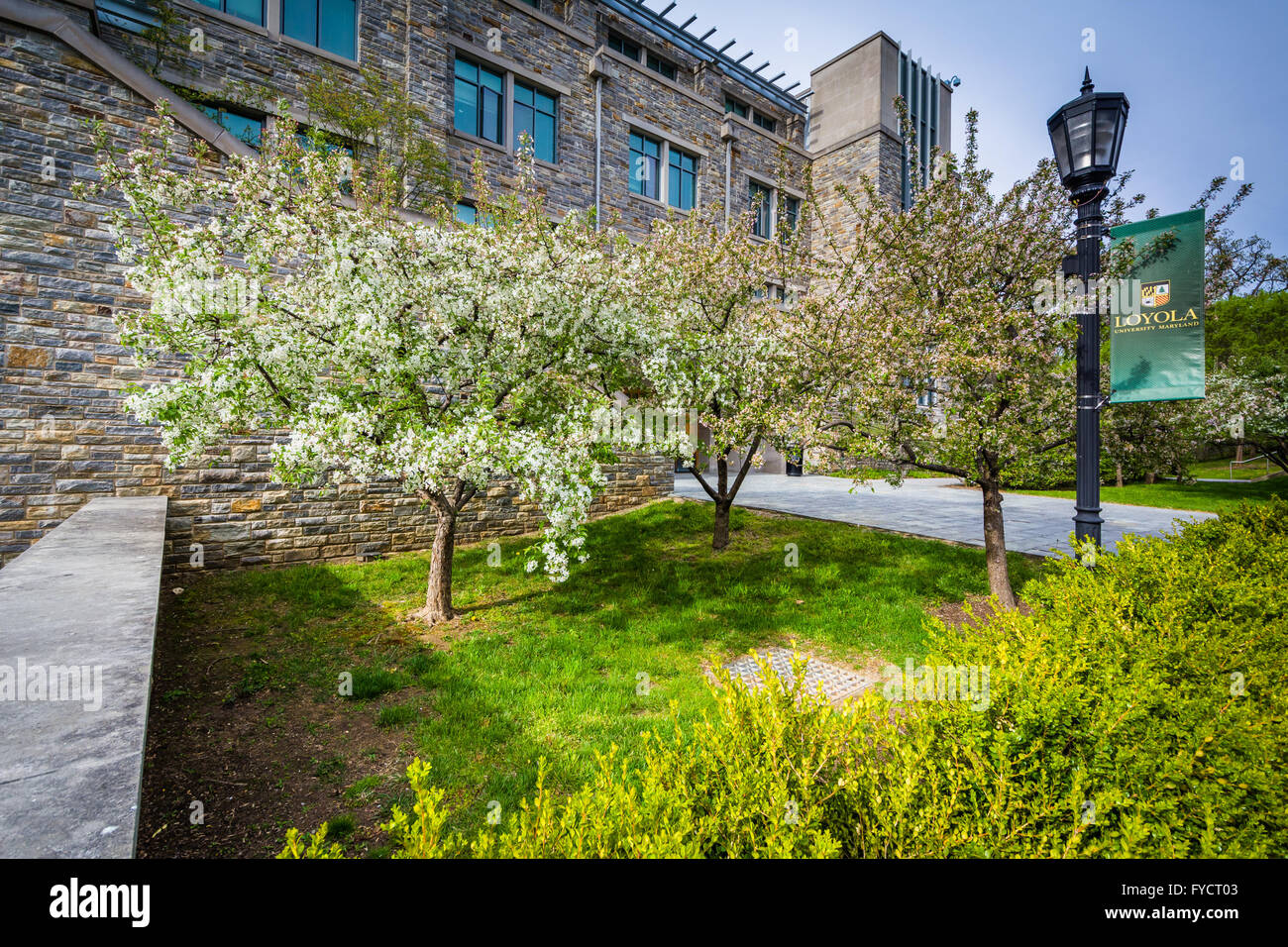 Trees and buildings at Loyola University Maryland, in Baltimore, Maryland. Stock Photo