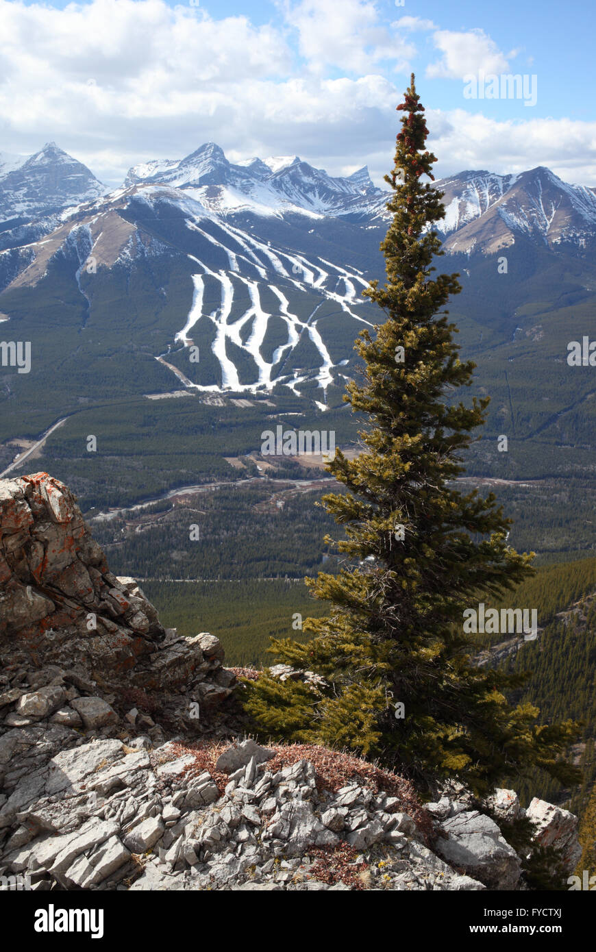Nakiska ski resort hires stock photography and images Alamy