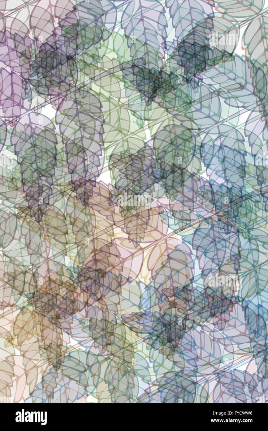 pattern with leaves Stock Photo - Alamy