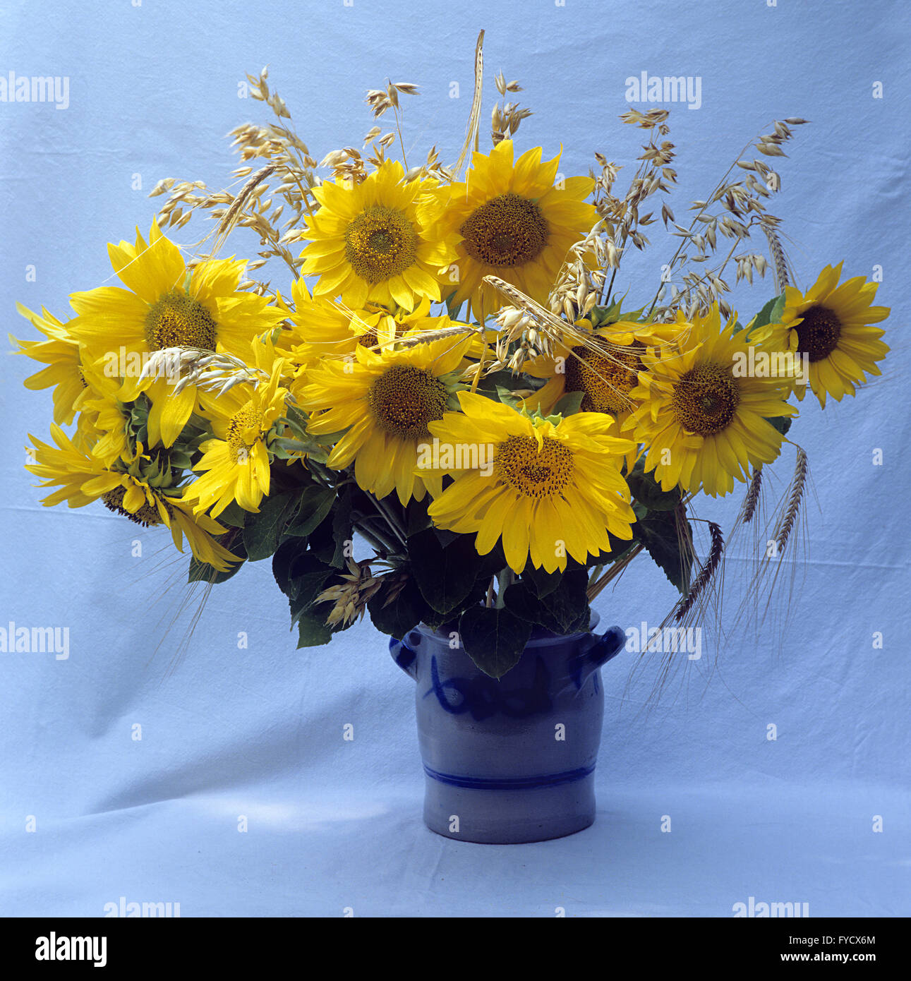 Bouquet with sunflowers Stock Photo