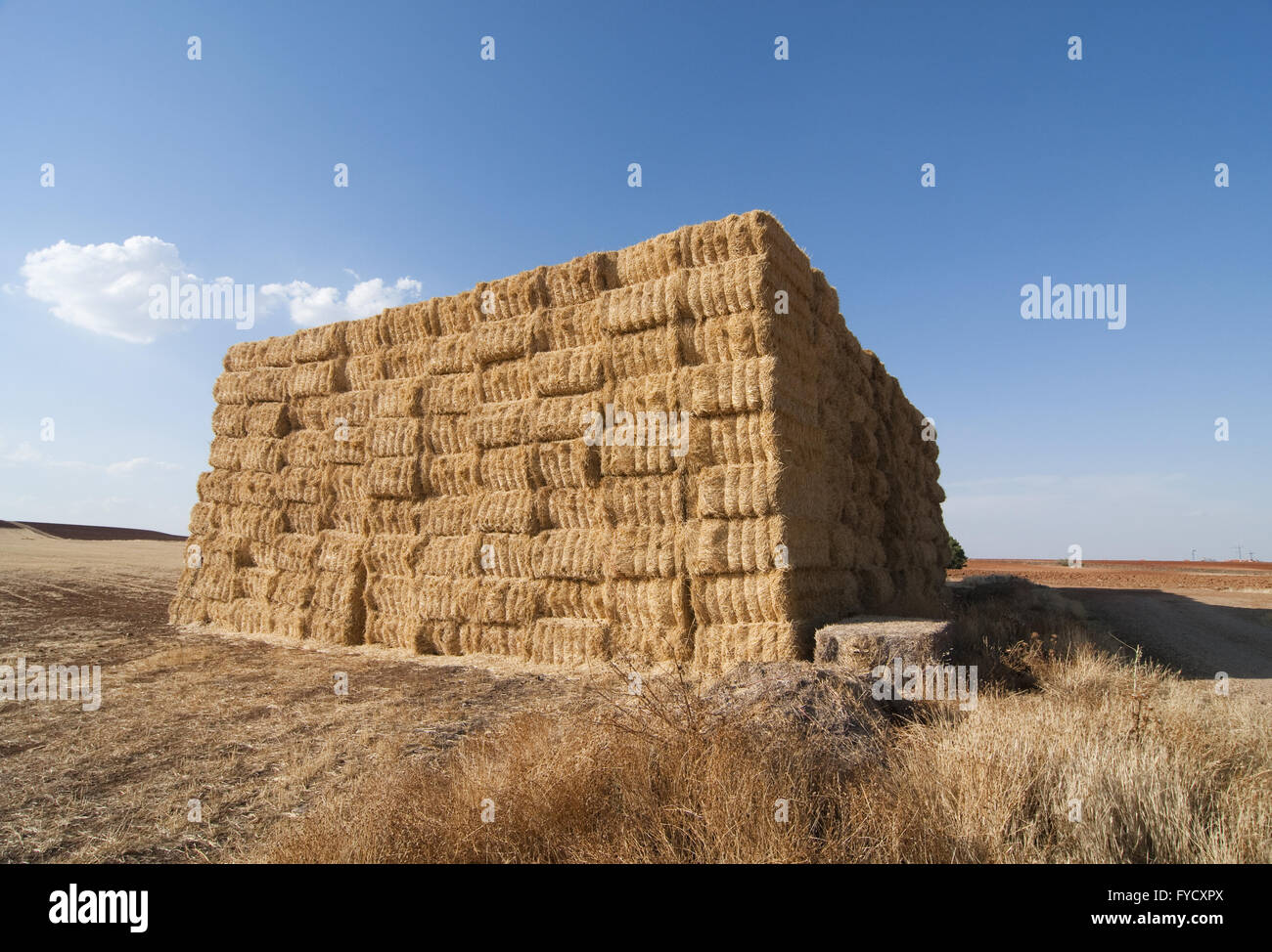 straws of hay Stock Photo Alamy