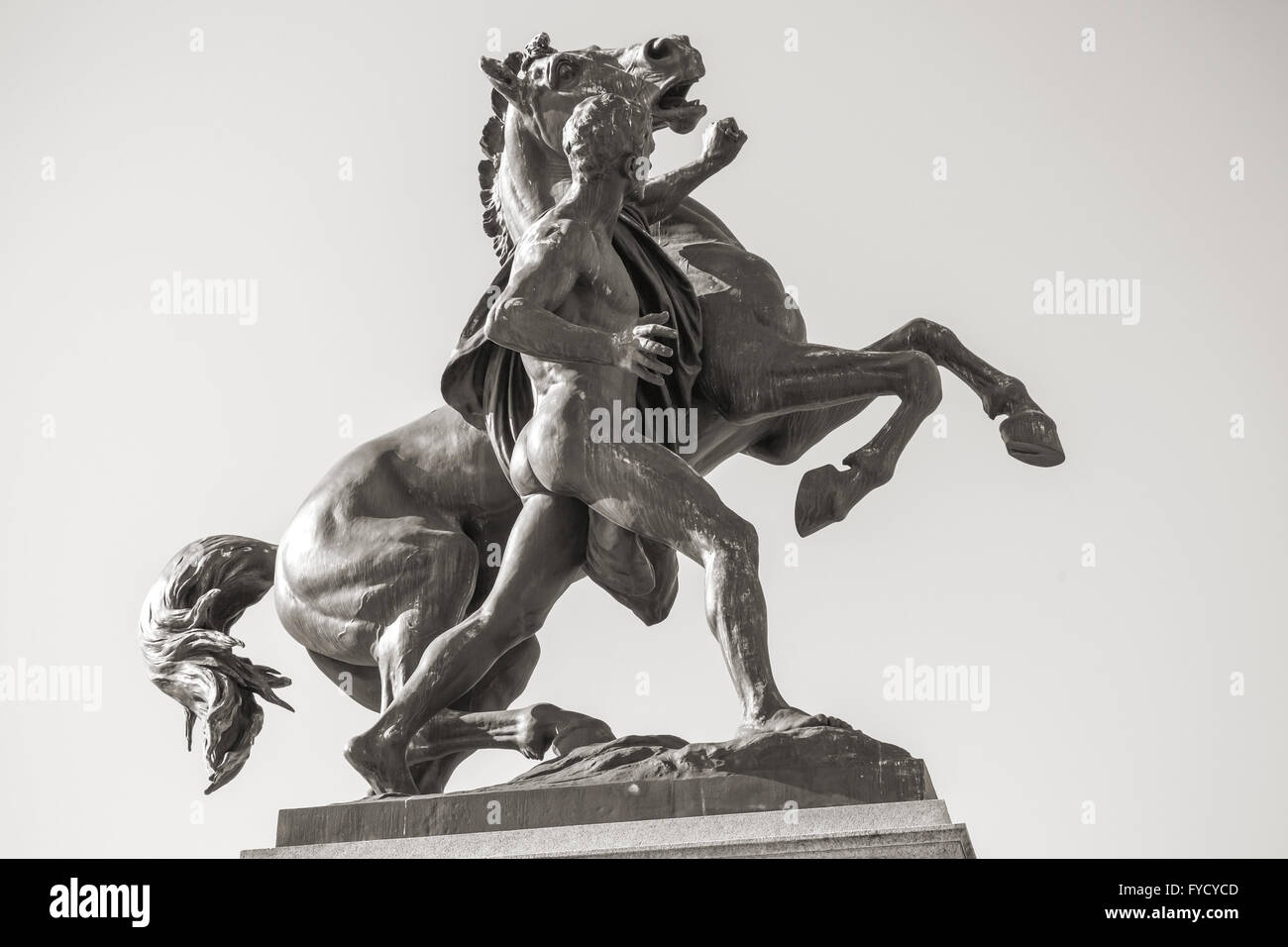 Bronze statue of the horse tamer located near Austrian Parliament Building in Vienna.  It was designed and executed by J. Lax Stock Photo