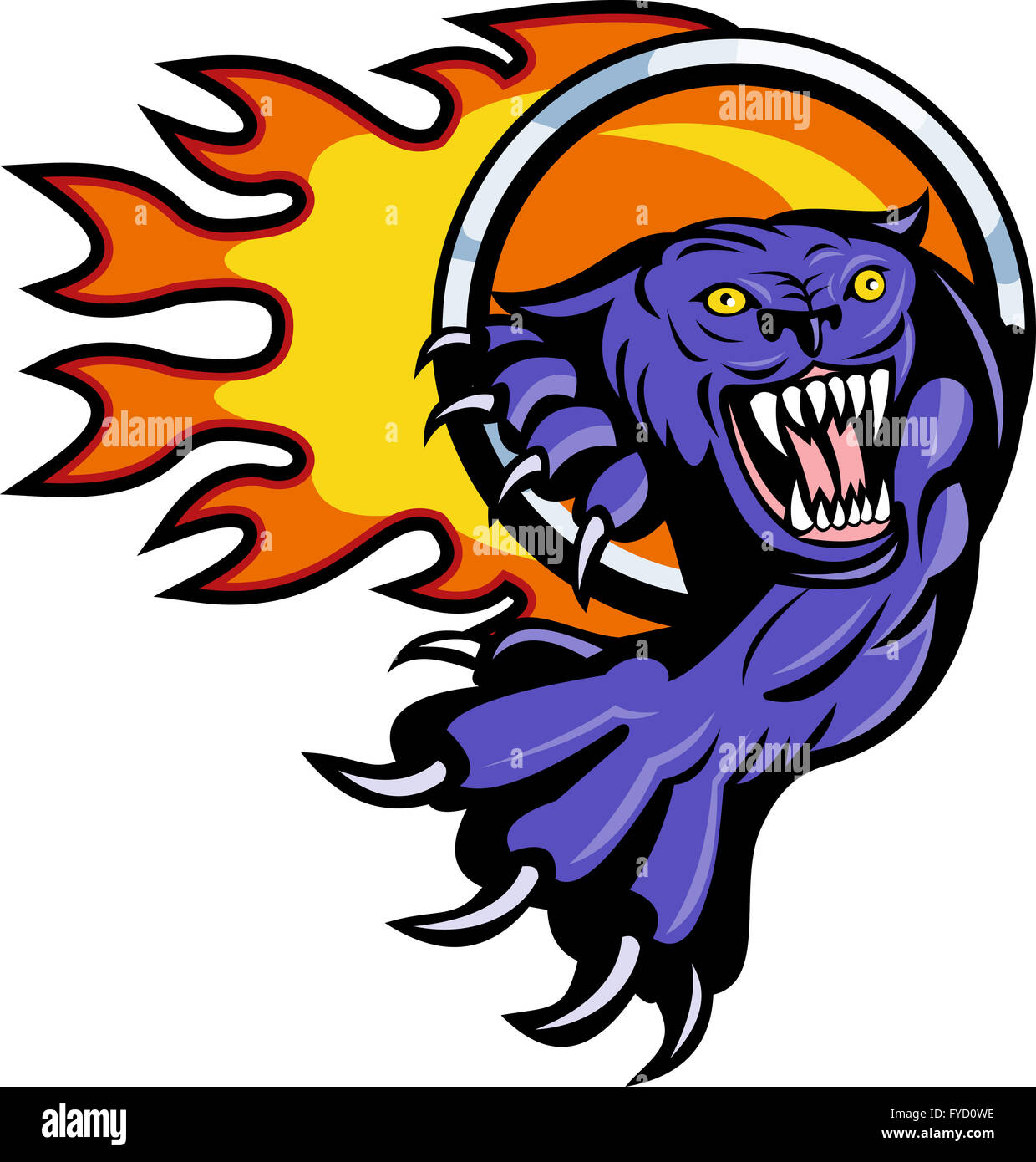 Panther Attacking With Ring Of Fire Stock Photo Alamy
