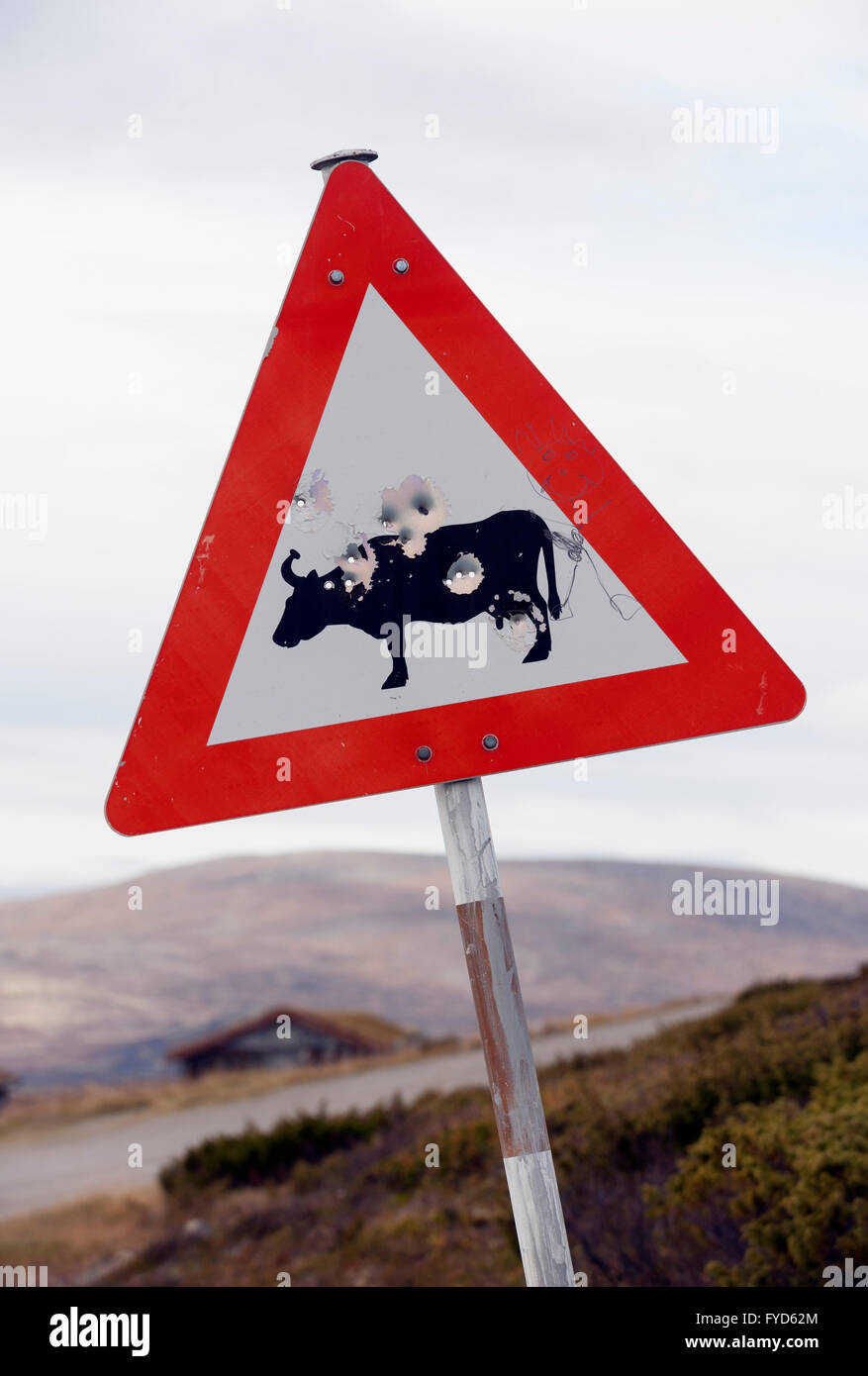 Road sign that´s been shot at. Norway Stock Photo