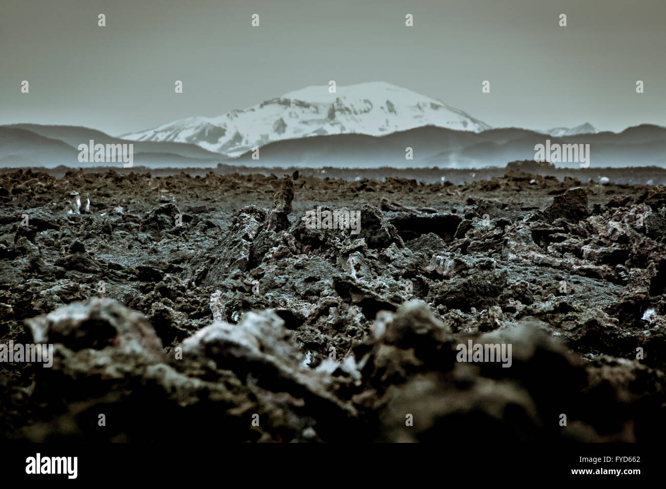 Solidified lava field hi-res stock photography and images - Alamy