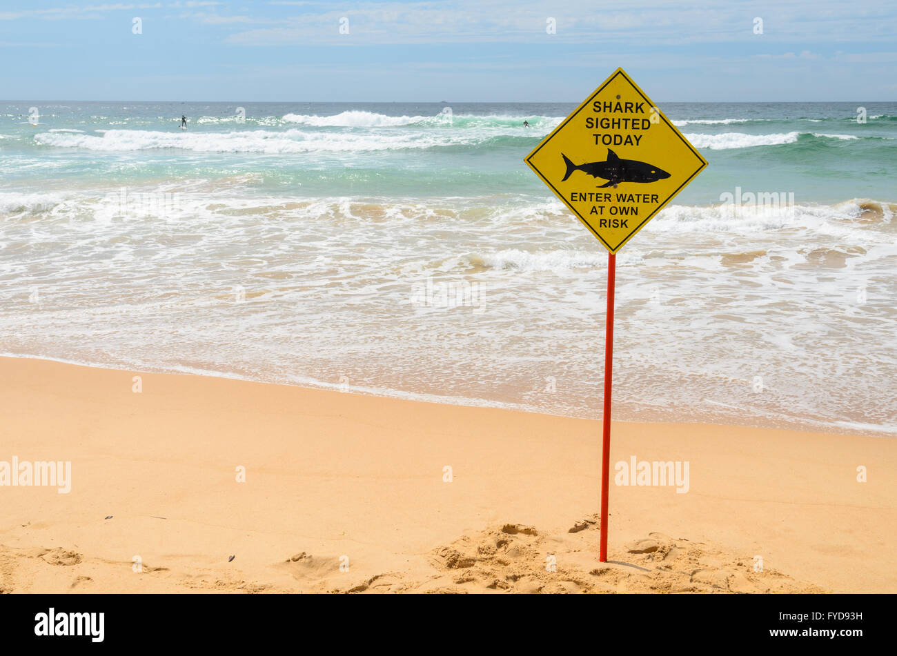 Shark Sighting sign at Manly Beach, Sydney Stock Photo