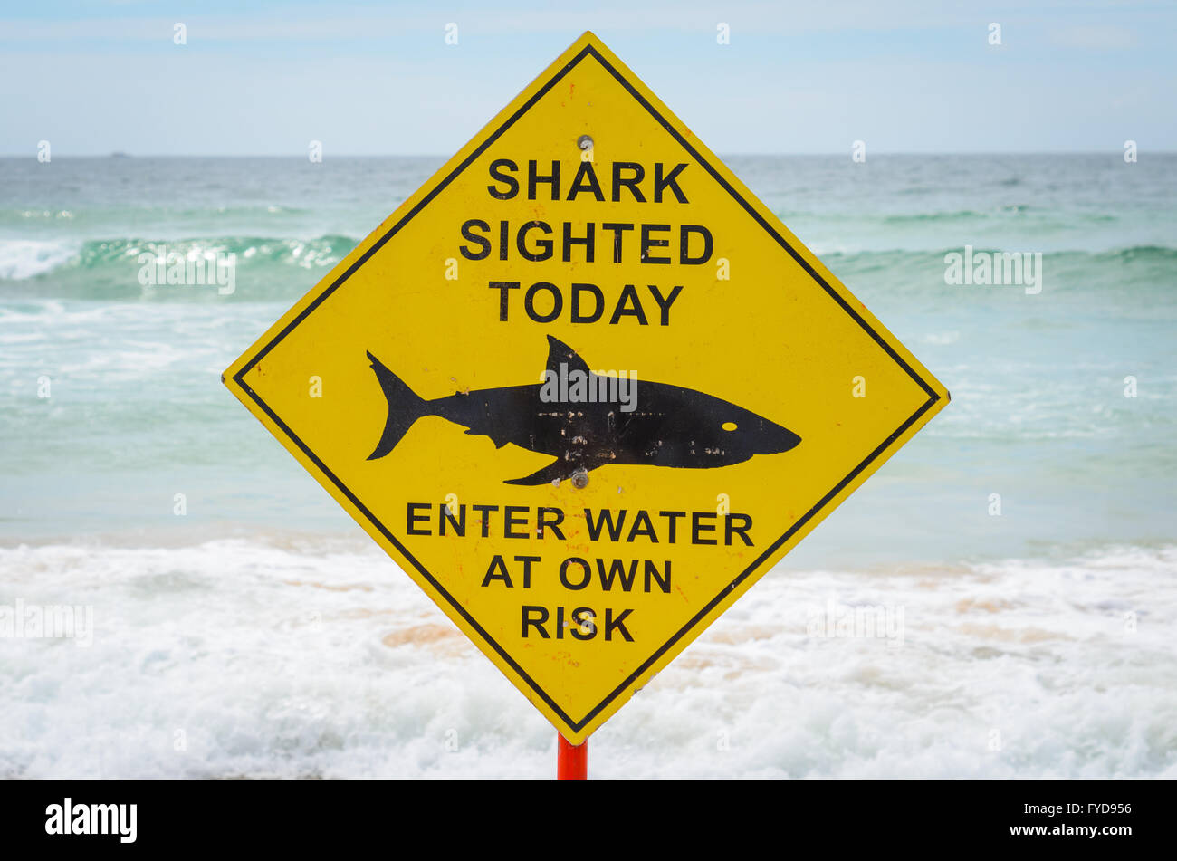 Shark Sighting sign at Manly Beach, Sydney Stock Photo
