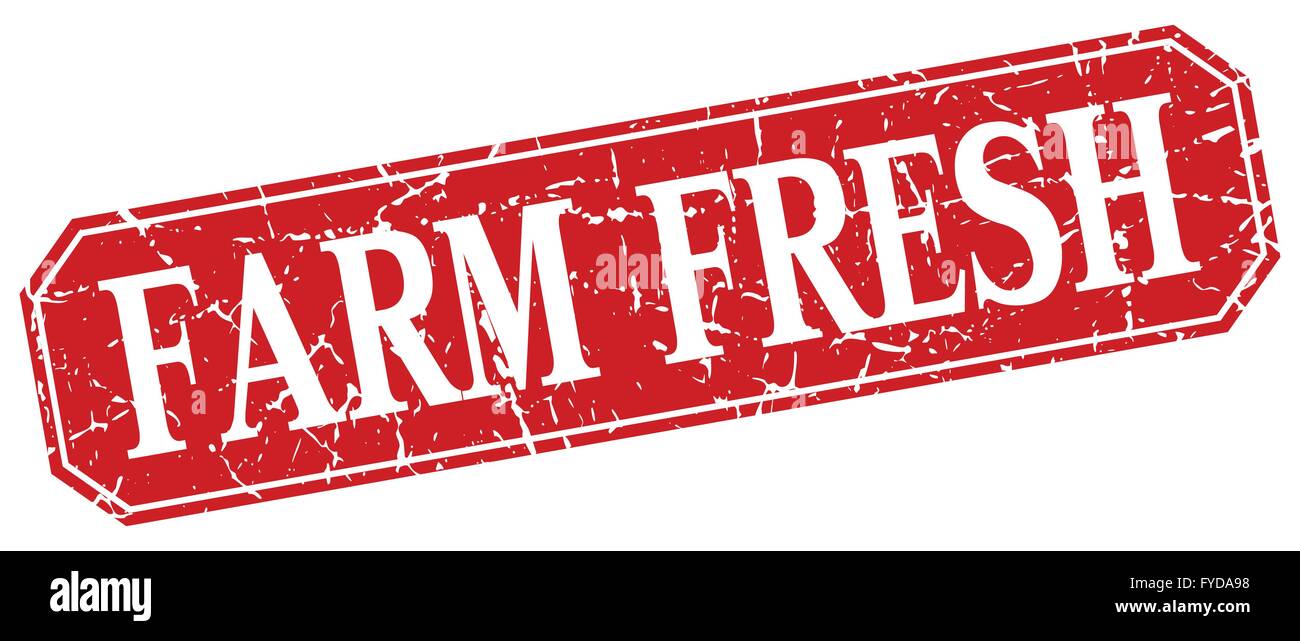 farm fresh red square vintage grunge isolated sign Stock Vector Image ...