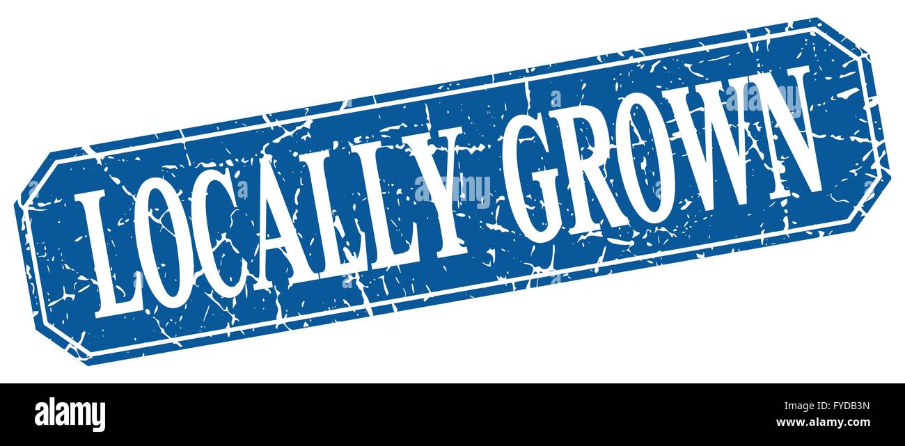 locally grown blue square vintage grunge isolated sign Stock Vector ...