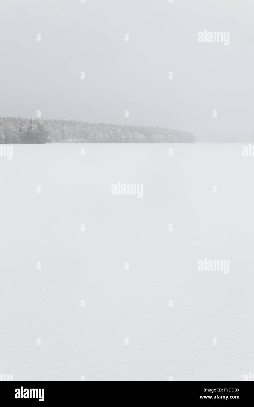 Blizzard winter landscape at frozen lake Stock Photo - Alamy