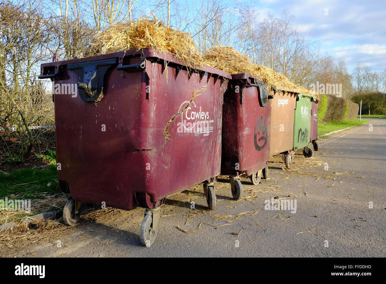 Industrial Recycling Bins overfilled with Straw waste at side of road