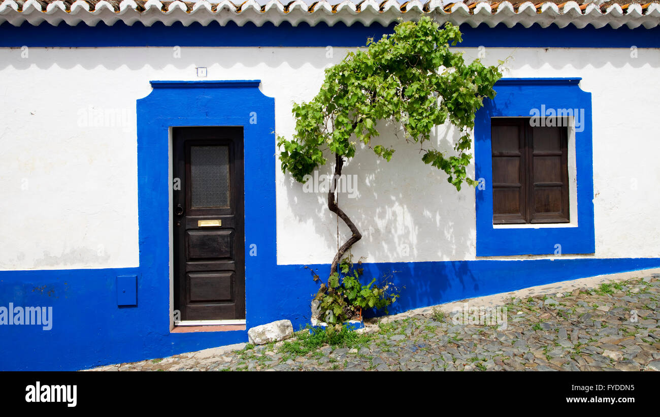 Brightly painted house front, with vine tree, in the narrow cobbled lanes of the old Moorish town of Mértola, Portugal. Stock Photo