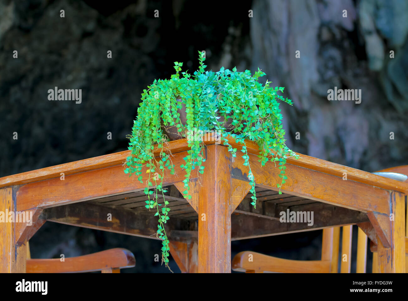 Beautiful foliage in the vase on a wooden table. Stock Photo