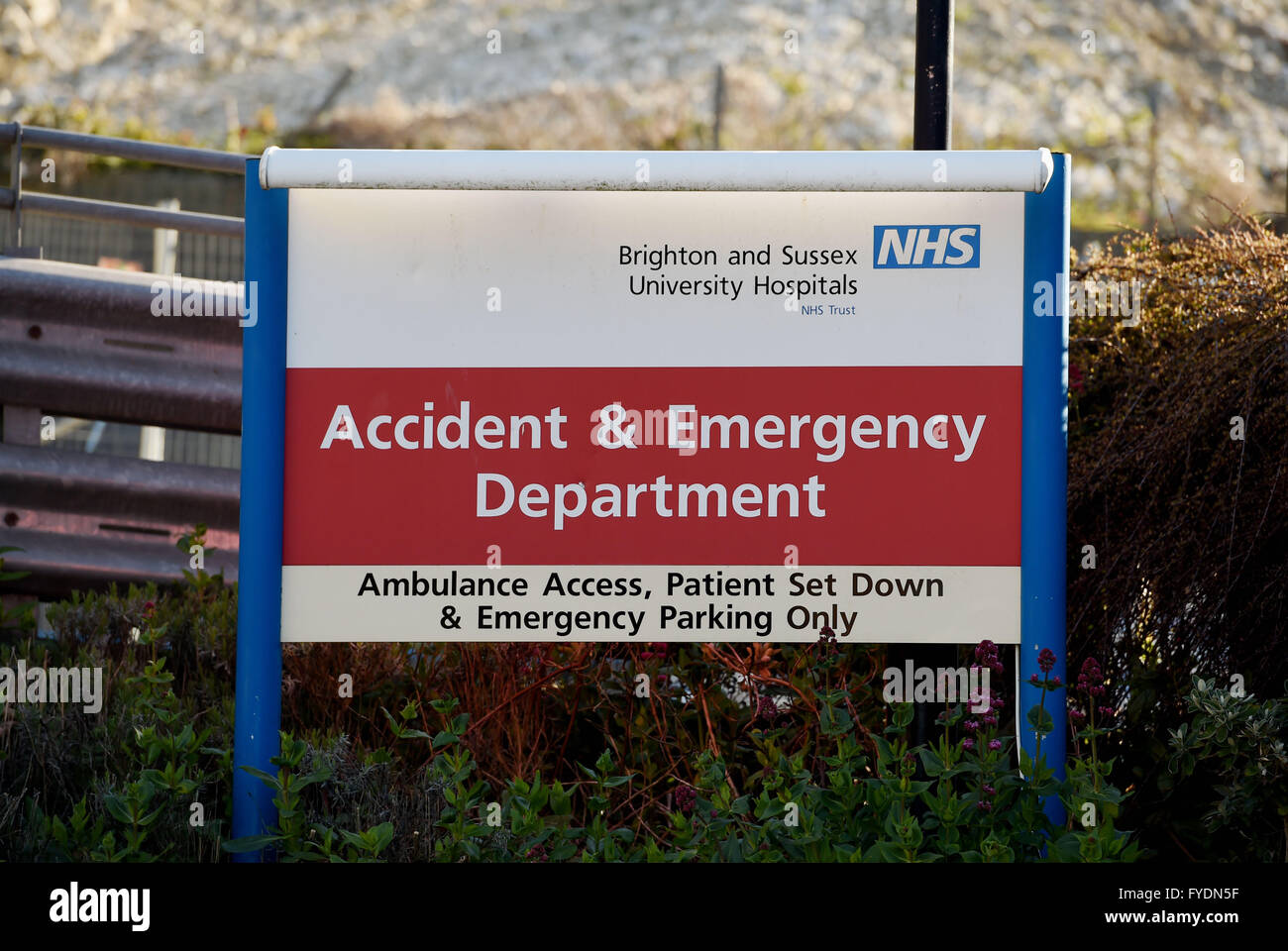 Royal sussex county hospital hires stock photography and images Alamy