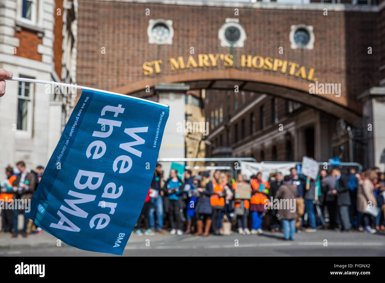 London, UK. 26th April 2016. A junior doctor waves a BMA flag on the picket line outside St Mary’s hospital in Paddington. Credit:  Mark Kerrison/Alamy Live News Stock Photo