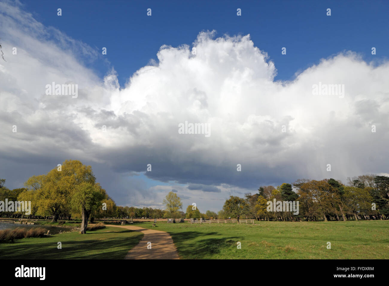 Bushy Park, London, UK. 26th April 2016. UK Weather: Huge cumulonimbus clouds pass over Bushy Park, on an afternoon of sunshine and showers in SW London. Credit:  Julia Gavin UK/Alamy Live News Stock Photo