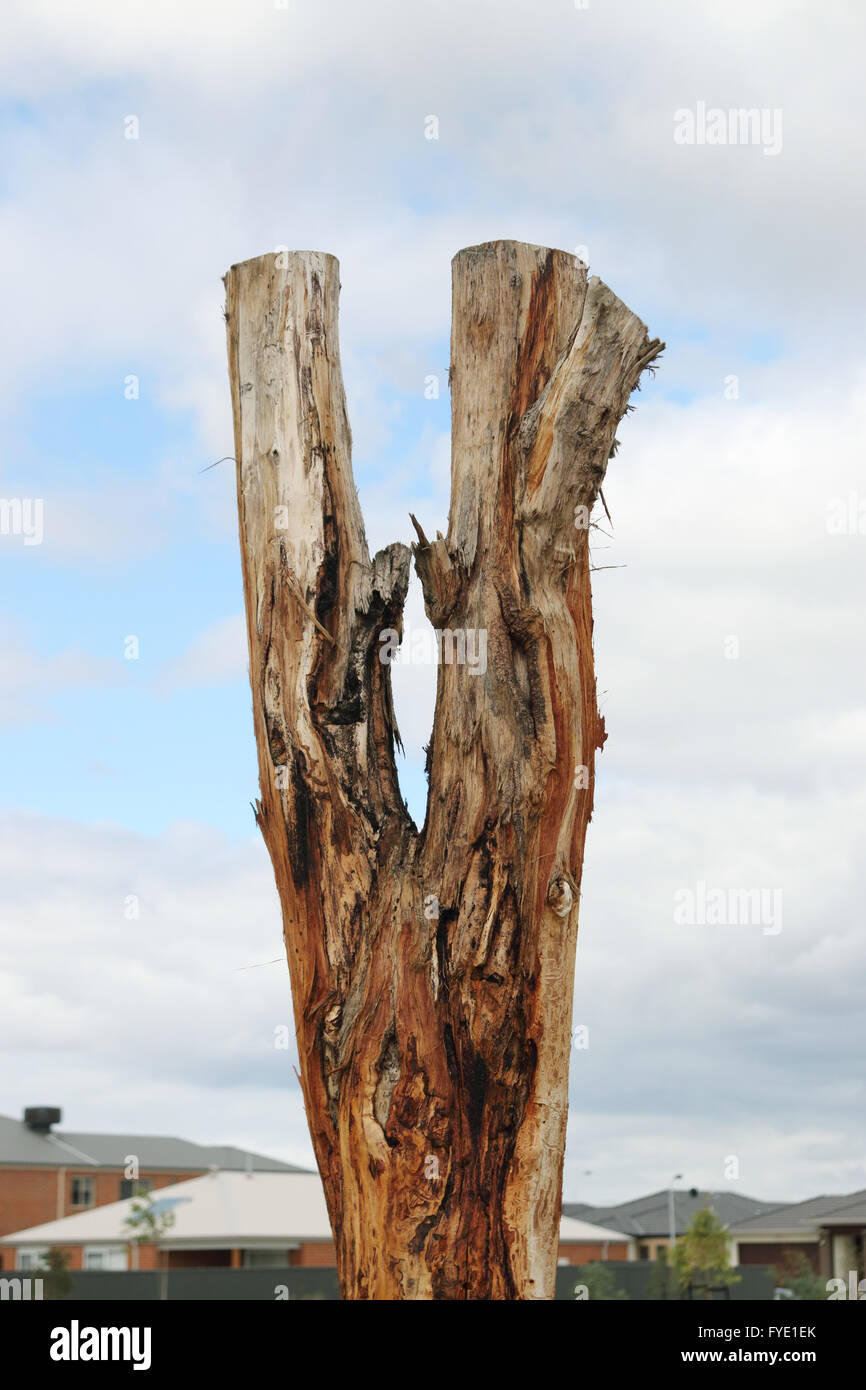 Close Up Of Dead Tree Trunk As Garden Decoration Stock Photo