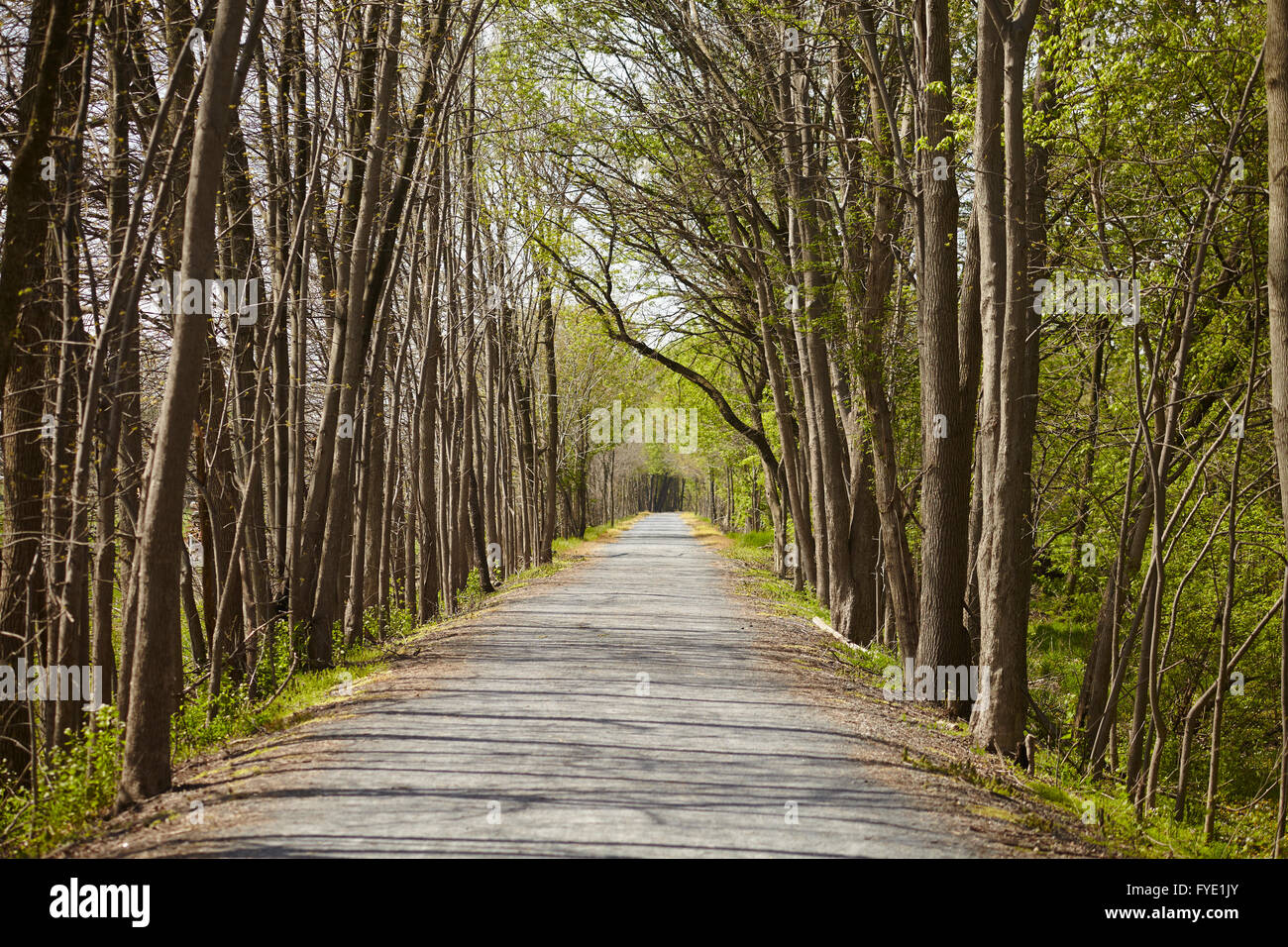 Lancaster Junction Rail Trail, Elizabethtown, Lancaster County, Pennsylvania, USA Stock Photo