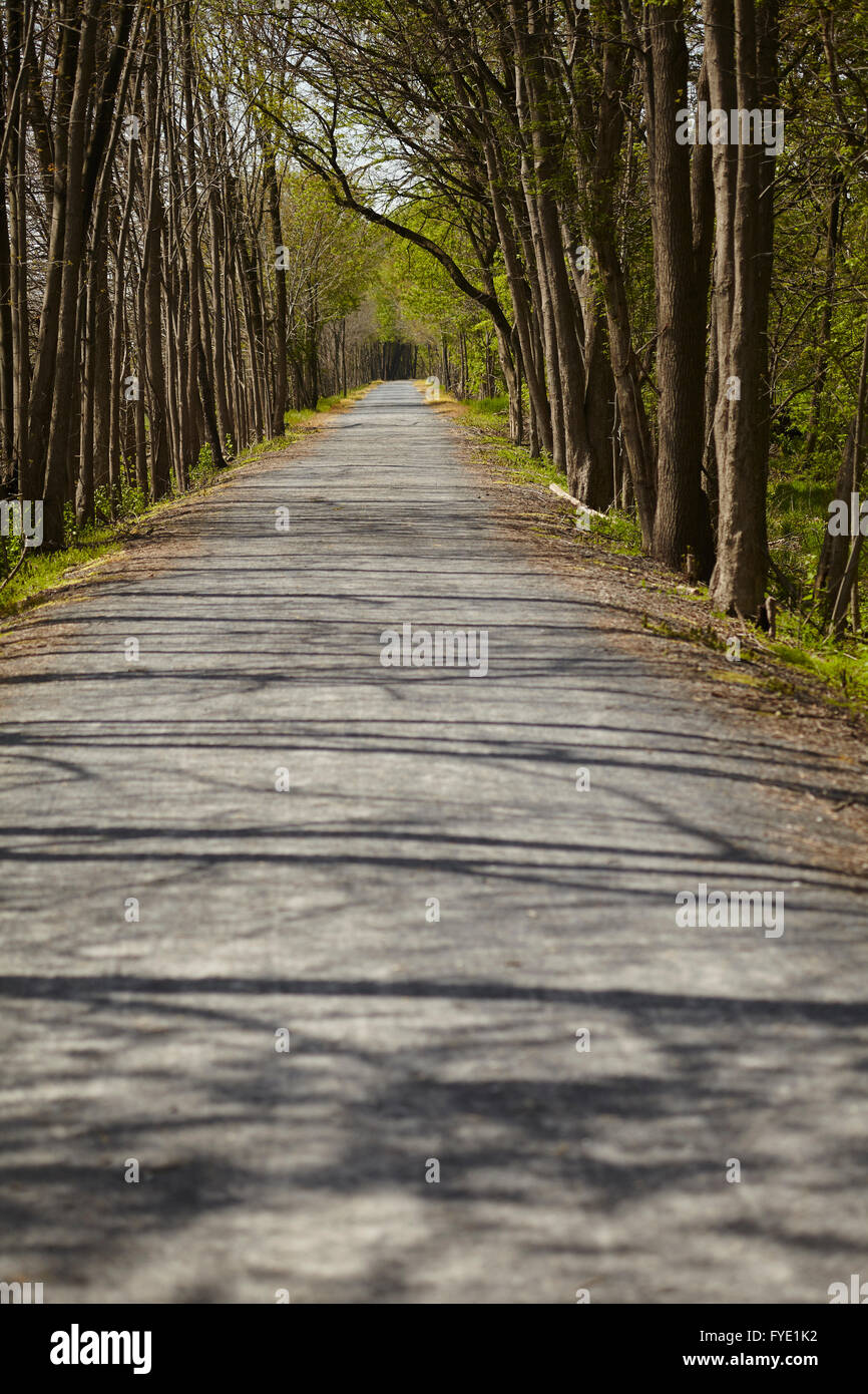 Lancaster Junction Rail Trail, Elizabethtown, Lancaster County