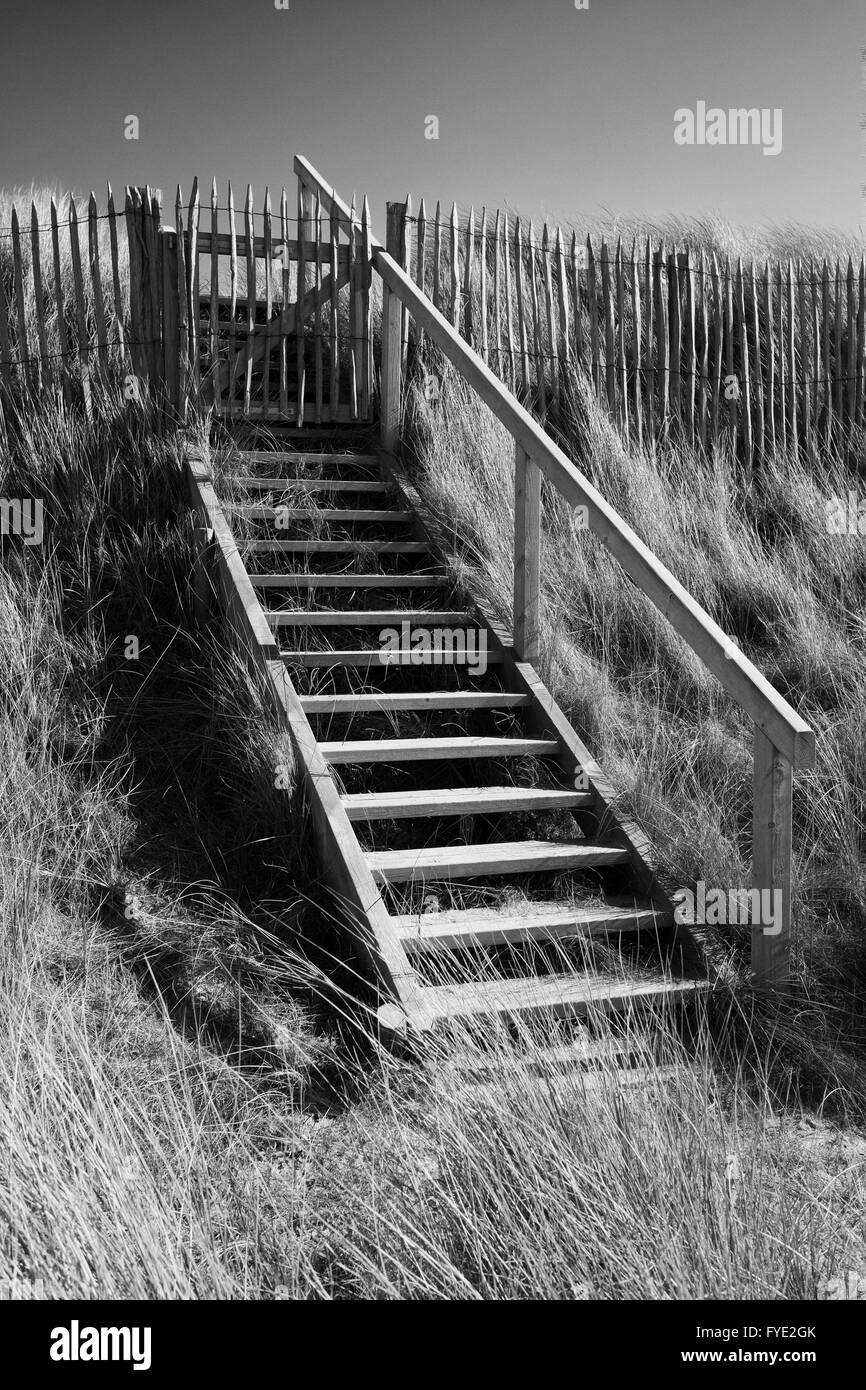 Wooden Steps in the Dunes at Lingreville in Normandy, France Stock Photo