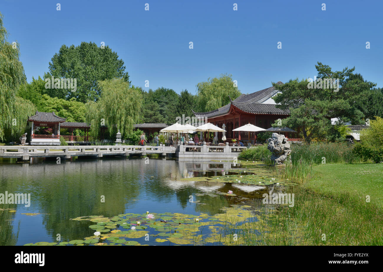 Chinesischer Garten, Erholungspark Marzahn, Blumberger Damm, Marzahn