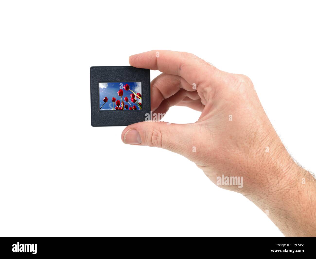 Photographic slides isolated against a white background Stock Photo
