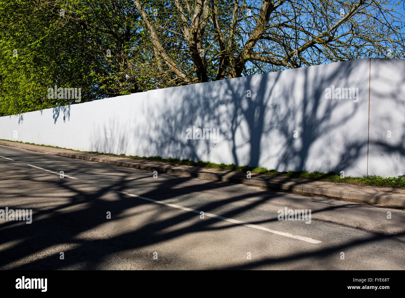 Tree Shadow Cast Tree cast hi-res stock photography and images - Alamy