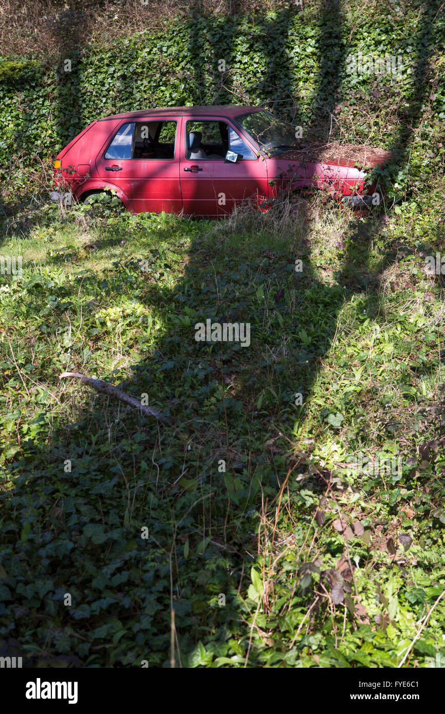 Old car overgrown by plants hi-res stock photography and images - Alamy