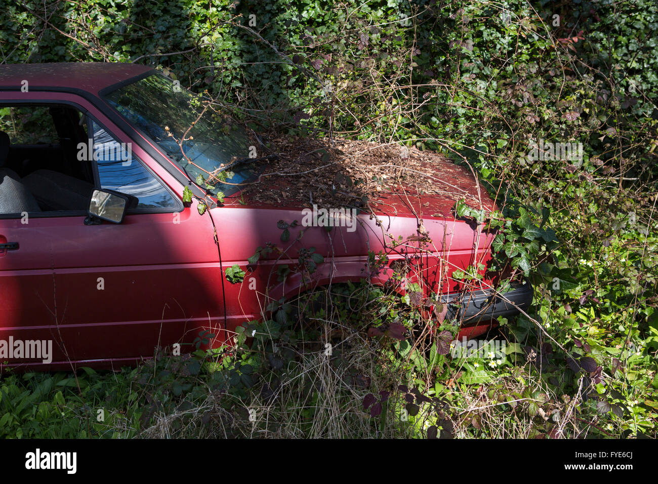 Abandoned overgrown car in field hi-res stock photography and images ...