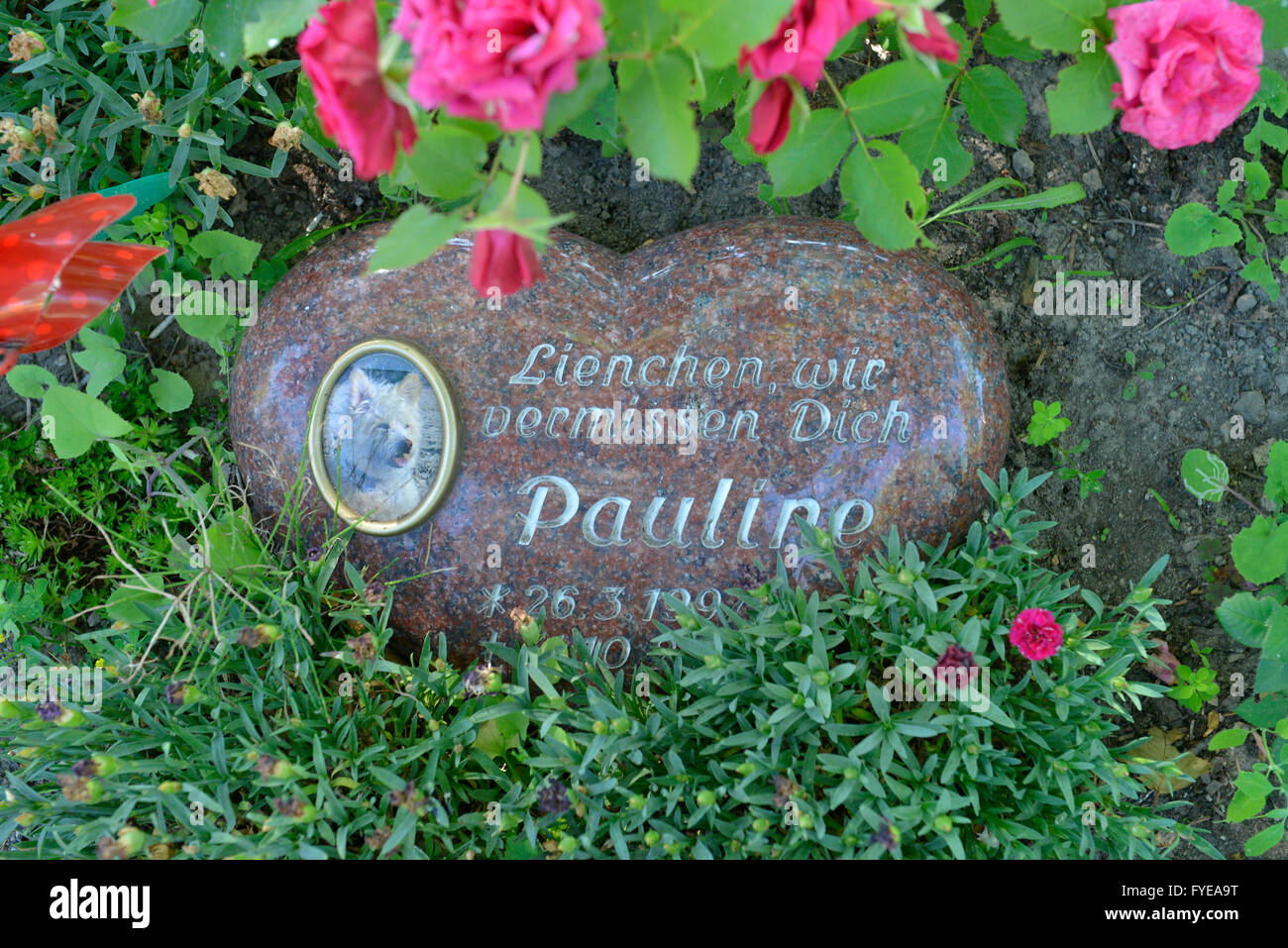 Tierfriedhof, Hausvaterweg, Falkenberg, Lichtenberg, Berlin, Deutschland Stock Photo