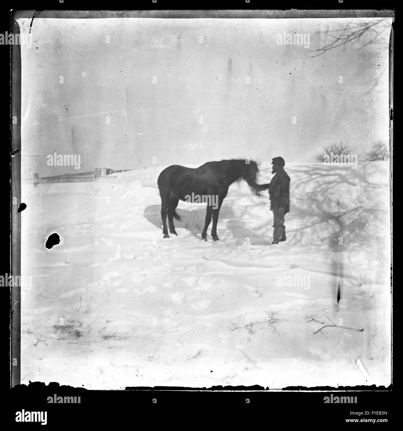 Victorian photograph of a man with a horse in the snow in Fallston, Maryland. Stock Photo